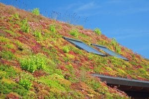 Green Roof